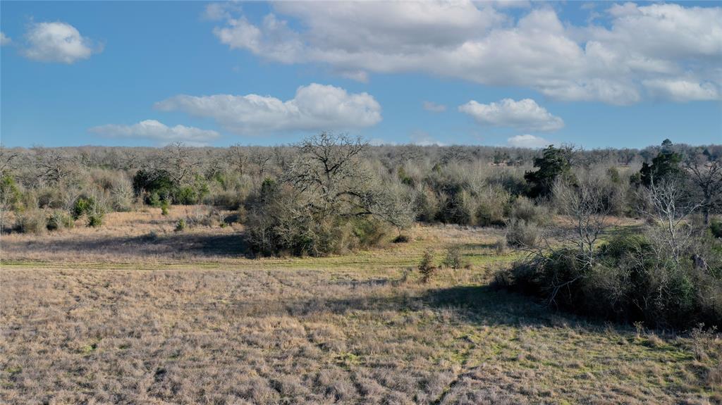 Tract 3 TBD County Road 124, Bedias, Texas image 4