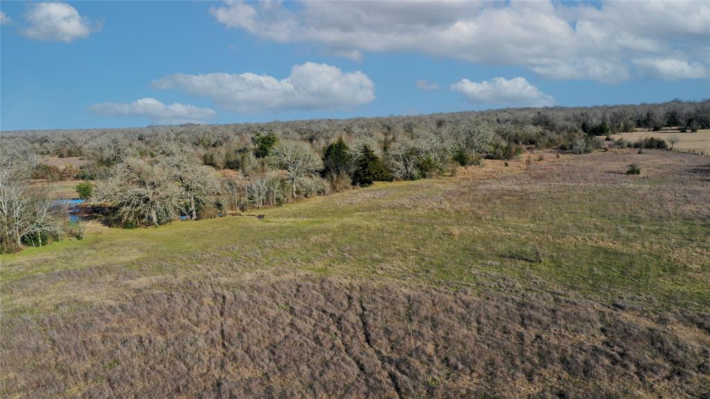 Tract 3 TBD County Road 124, Bedias, Texas image 11