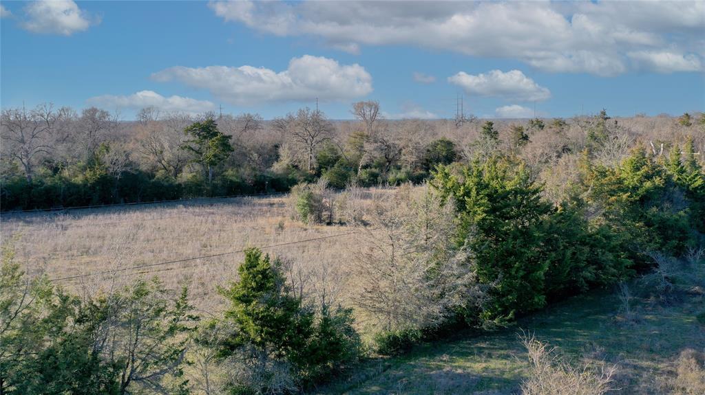 Tract 3 TBD County Road 124, Bedias, Texas image 14