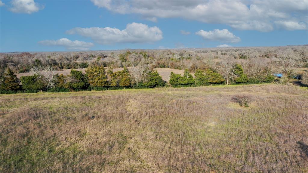 Tract 3 TBD County Road 124, Bedias, Texas image 12