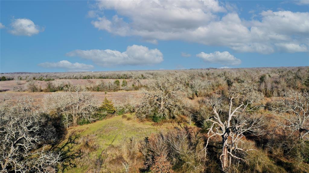 Tract 3 TBD County Road 124, Bedias, Texas image 2