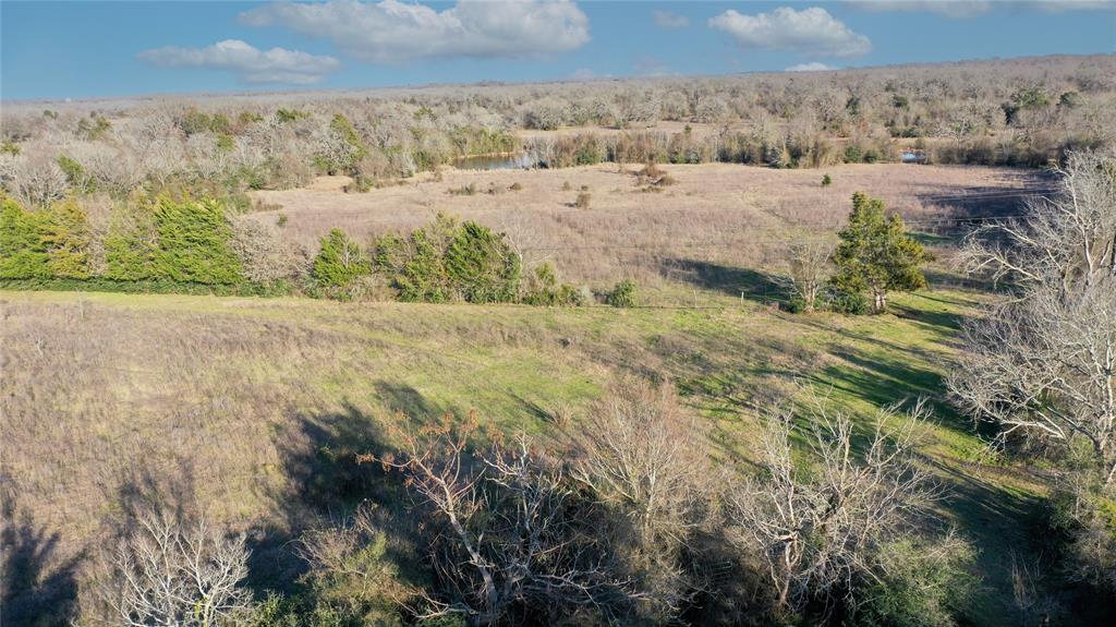 Tract 3 TBD County Road 124, Bedias, Texas image 16