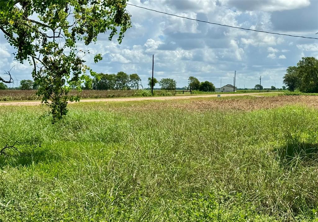 Lot 3 Cr 414, El Campo, Texas image 7