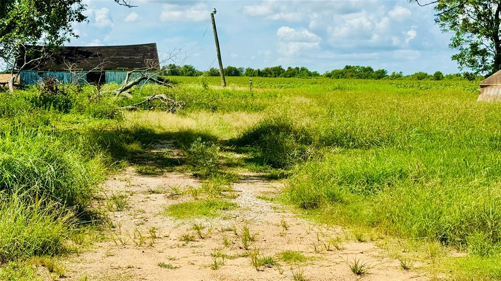 Lot 3 Cr 414, El Campo, Texas image 8