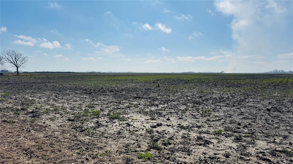 Lot 3 Cr 414, El Campo, Texas image 11
