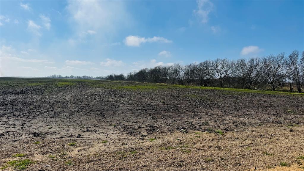 Lot 3 Cr 414, El Campo, Texas image 9