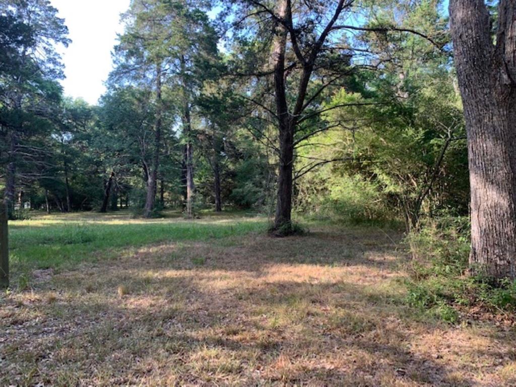 0000 Kickapoo Road, Hockley, Texas image 1