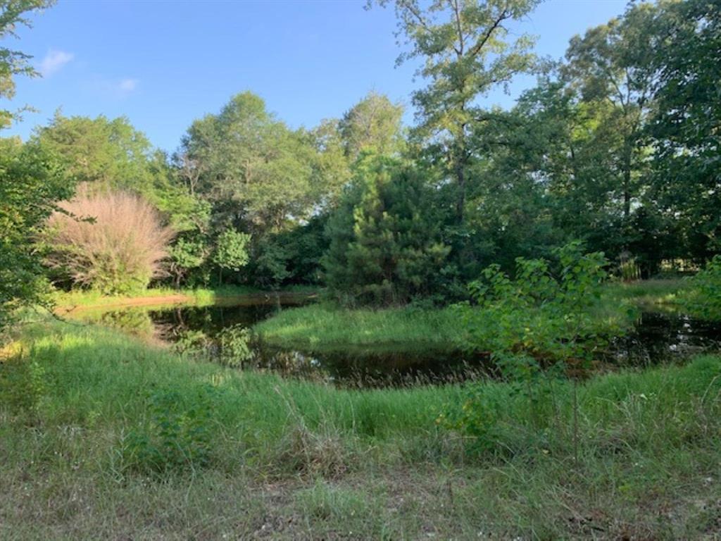 0000 Kickapoo Road, Hockley, Texas image 7