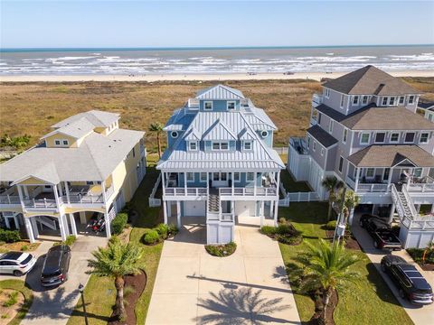 25619 Snowy Egret Drive Galveston TX 77554