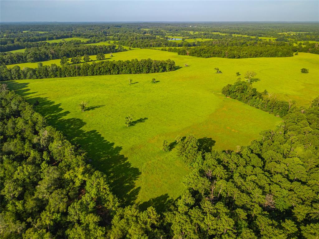 Farm To Market 256, Woodville, Texas image 14