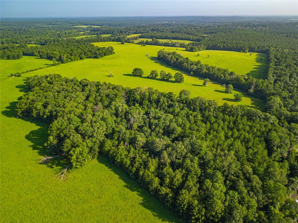 Farm To Market 256, Woodville, Texas image 11