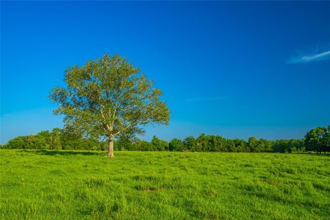 Vacant Land For Sale - Farm To Market 256<br/> Woodville, TX 75979