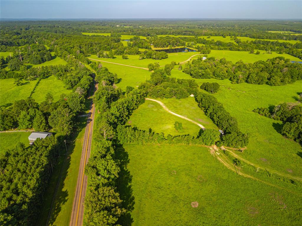 Farm To Market 256, Woodville, Texas image 9