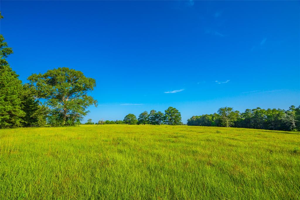 Farm To Market 256, Woodville, Texas image 5