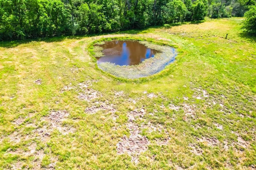 1085 Duke Road, Kennard, Texas image 16