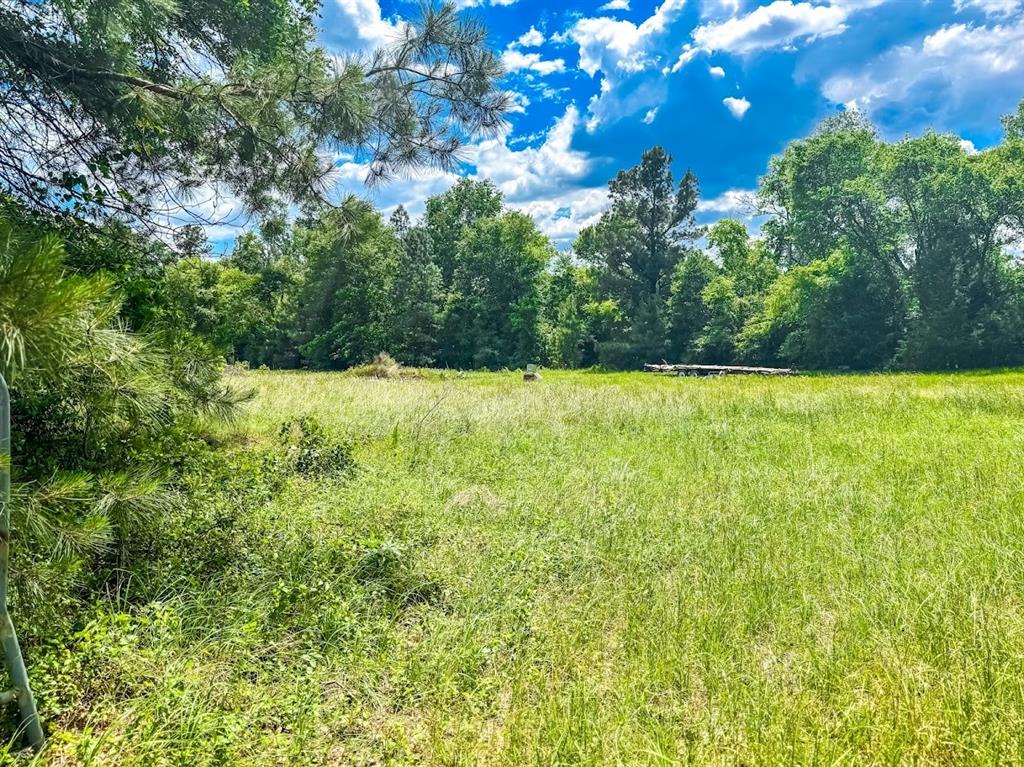 1085 Duke Road, Kennard, Texas image 20