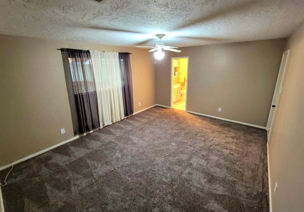 3135 Apple Dr Drive, Missouri City, Texas image 13