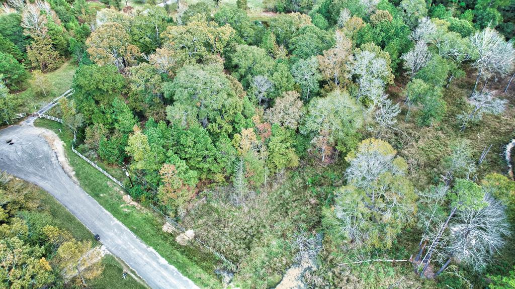 1464 County Road 3737, Splendora, Texas image 5