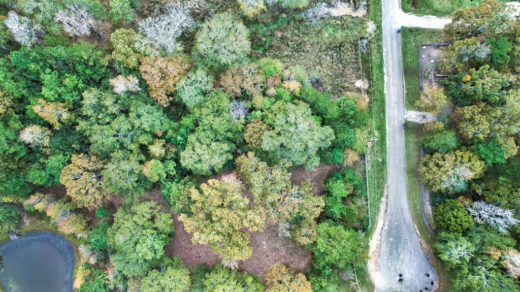 1464 County Road 3737, Splendora, Texas image 2