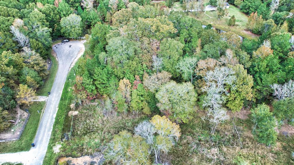 1464 County Road 3737, Splendora, Texas image 1