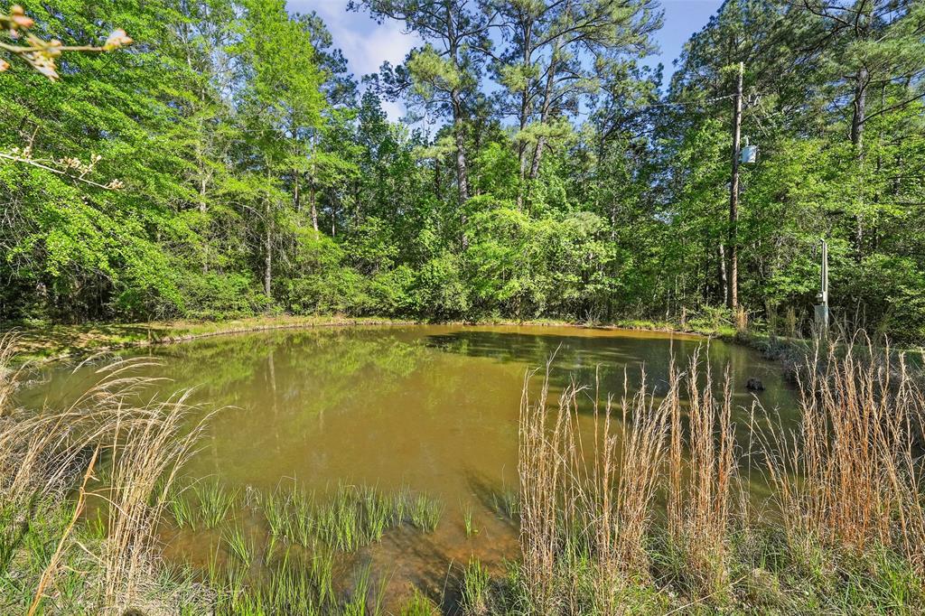 1387 Groveton Flat Prairie Road, Groveton, Texas image 25