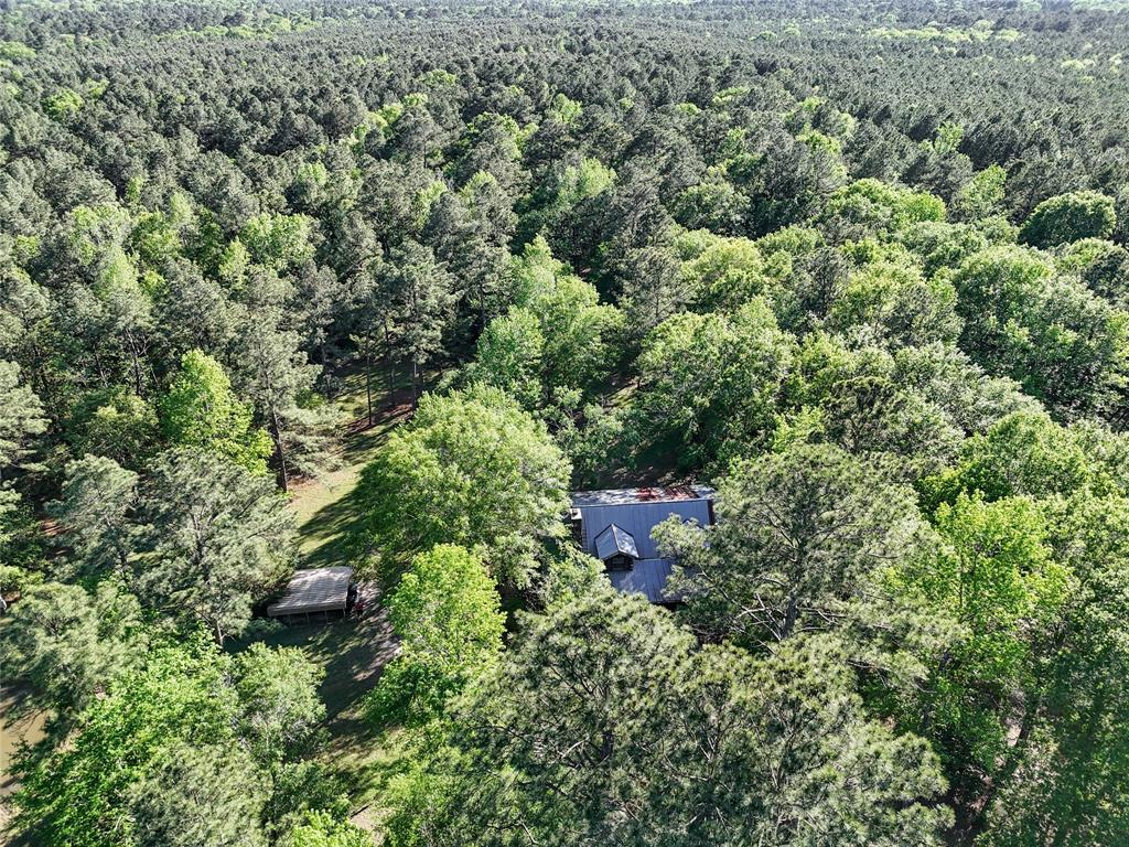 1387 Groveton Flat Prairie Road, Groveton, Texas image 36