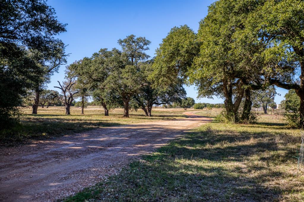 330 N Nassau Road, Round Top, Texas image 2