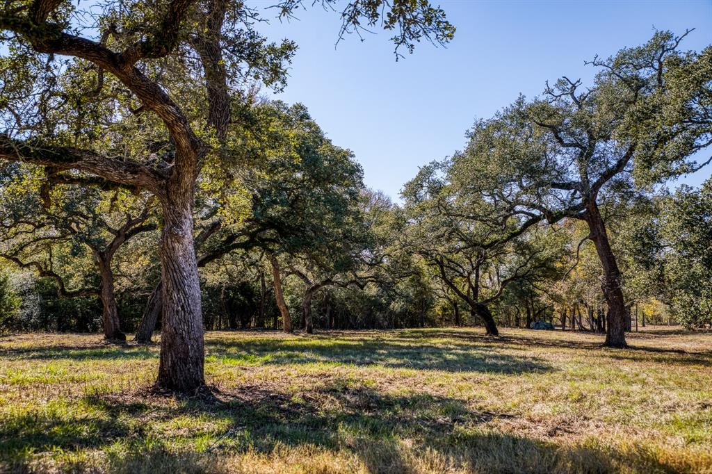 330 N Nassau Road, Round Top, Texas image 3