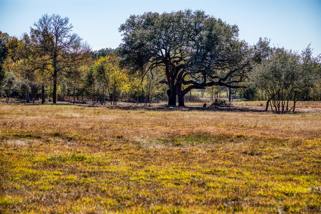 330 N Nassau Road, Round Top, Texas image 6