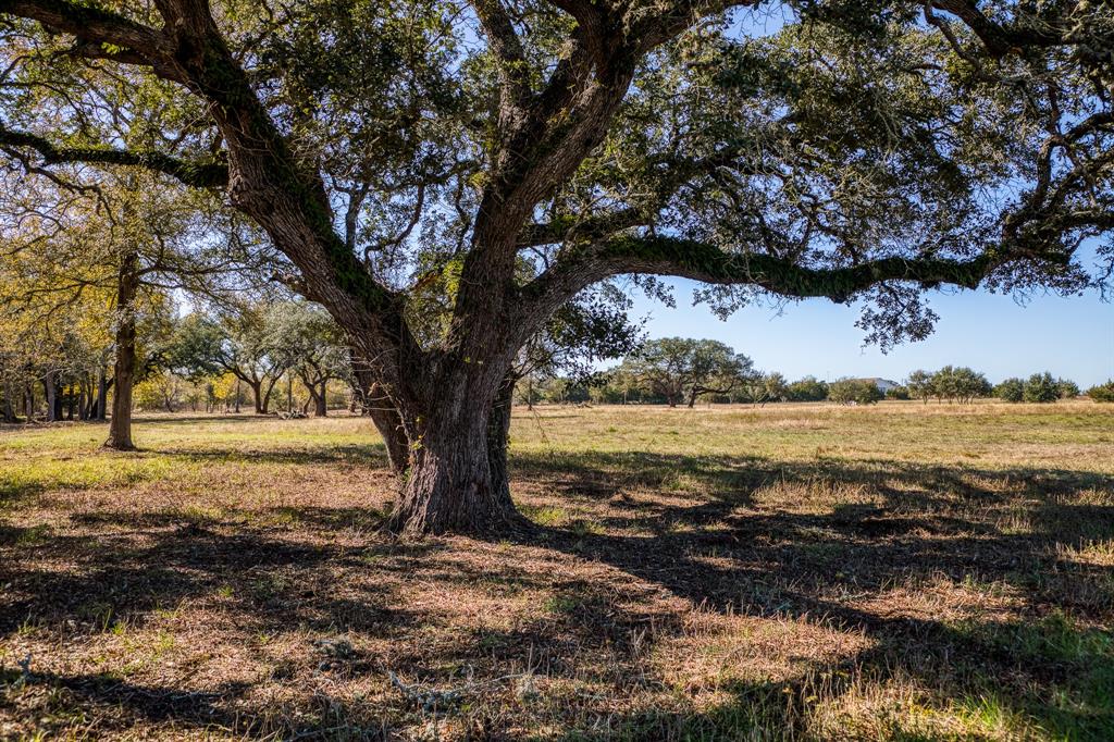 330 N Nassau Road, Round Top, Texas image 4