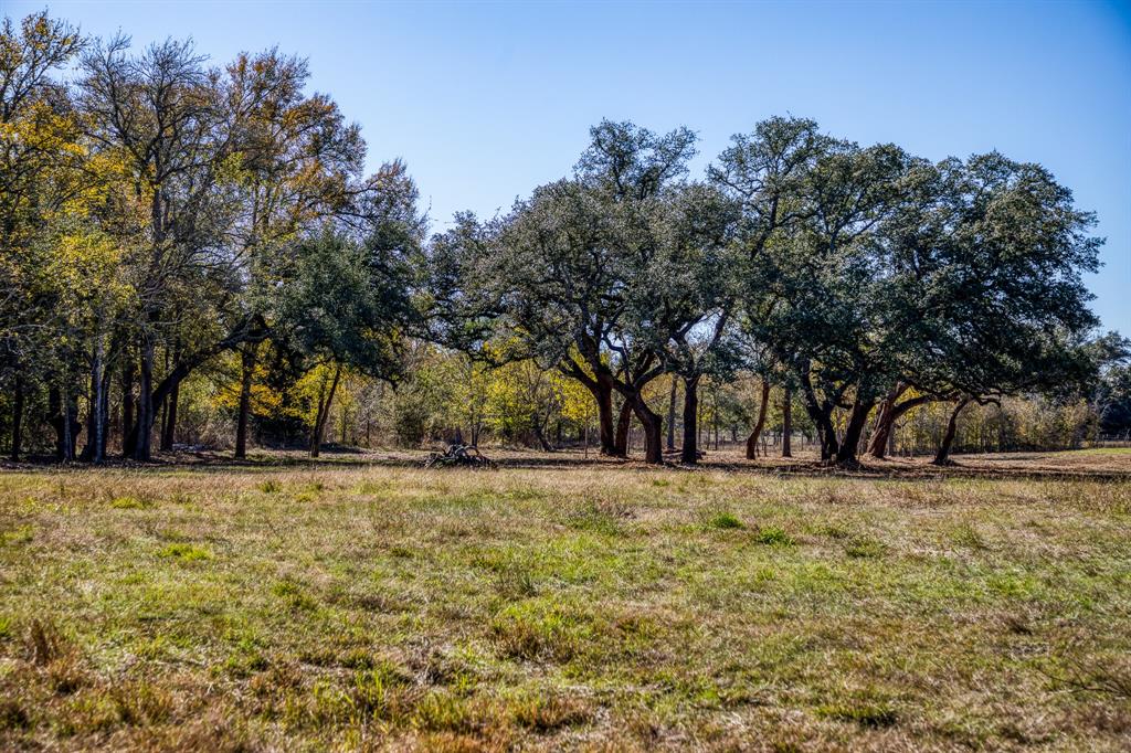 330 N Nassau Road, Round Top, Texas image 5