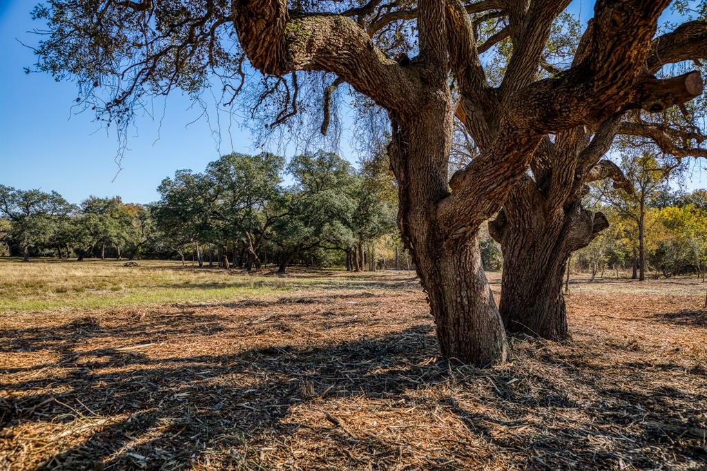 330 N Nassau Road, Round Top, Texas image 11