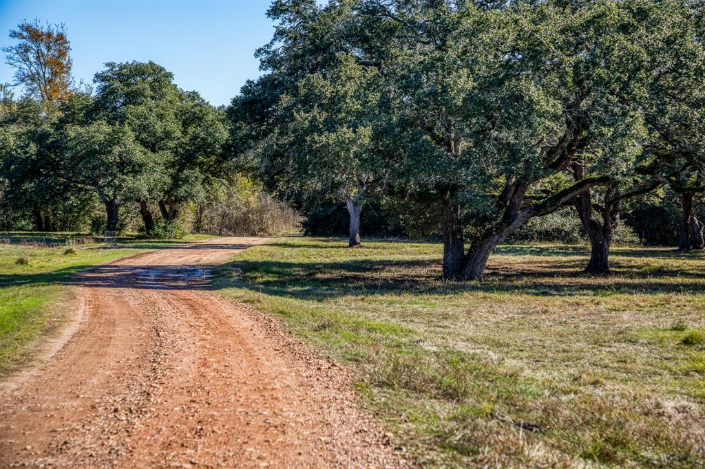 330 N Nassau Road, Round Top, Texas image 1