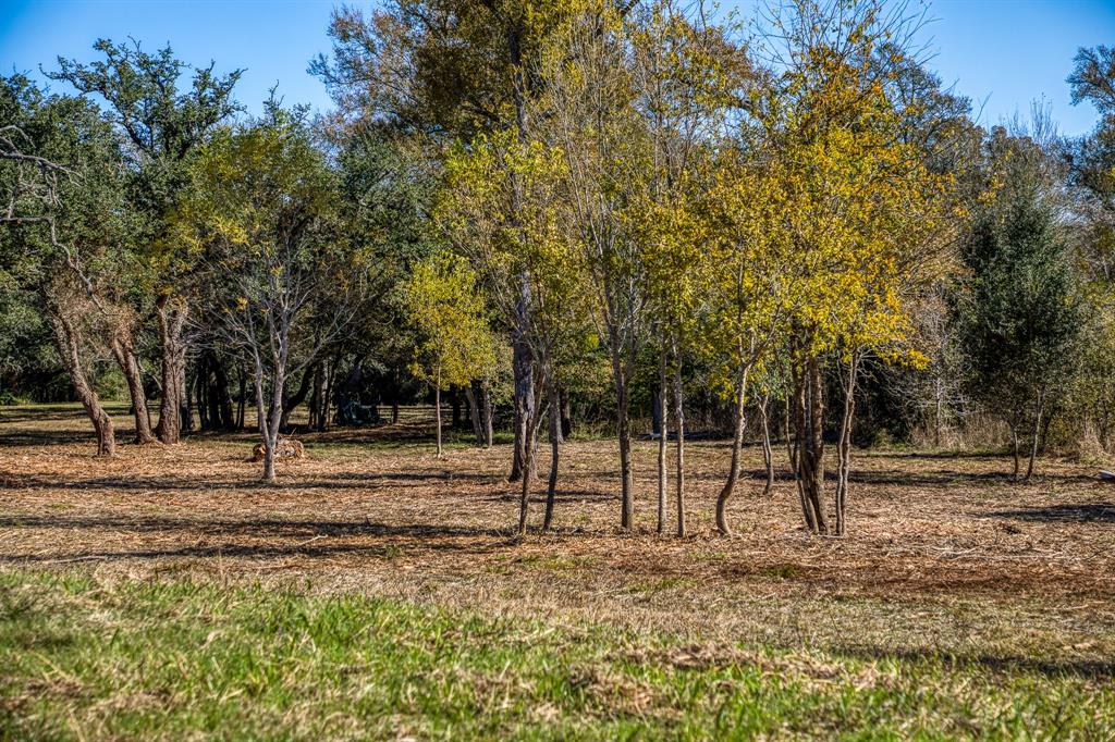 330 N Nassau Road, Round Top, Texas image 10