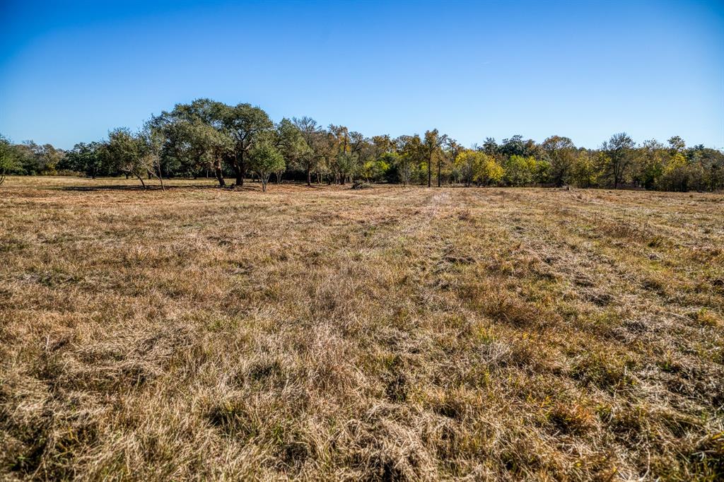 330 N Nassau Road, Round Top, Texas image 8