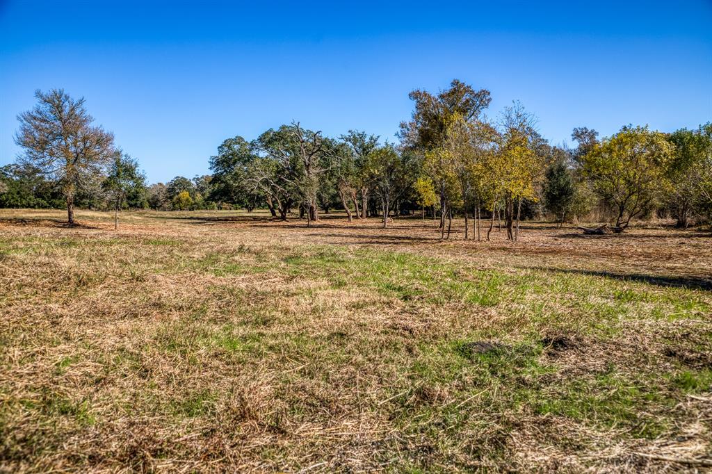 330 N Nassau Road, Round Top, Texas image 9