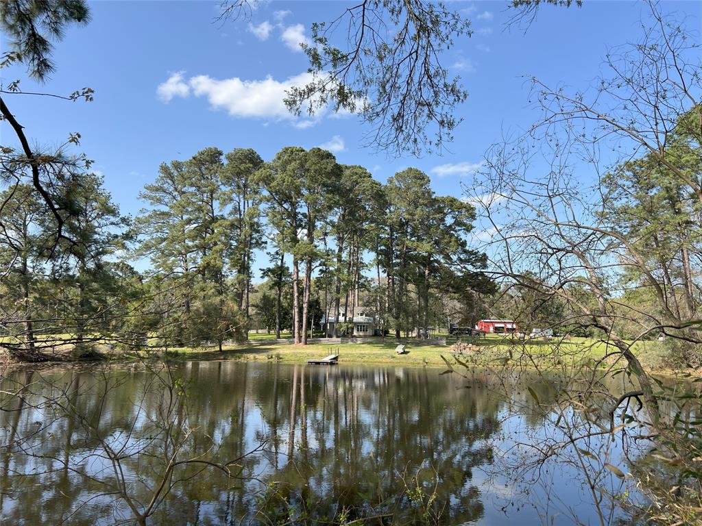 1802 N Fm-1486, Montgomery, Texas image 35
