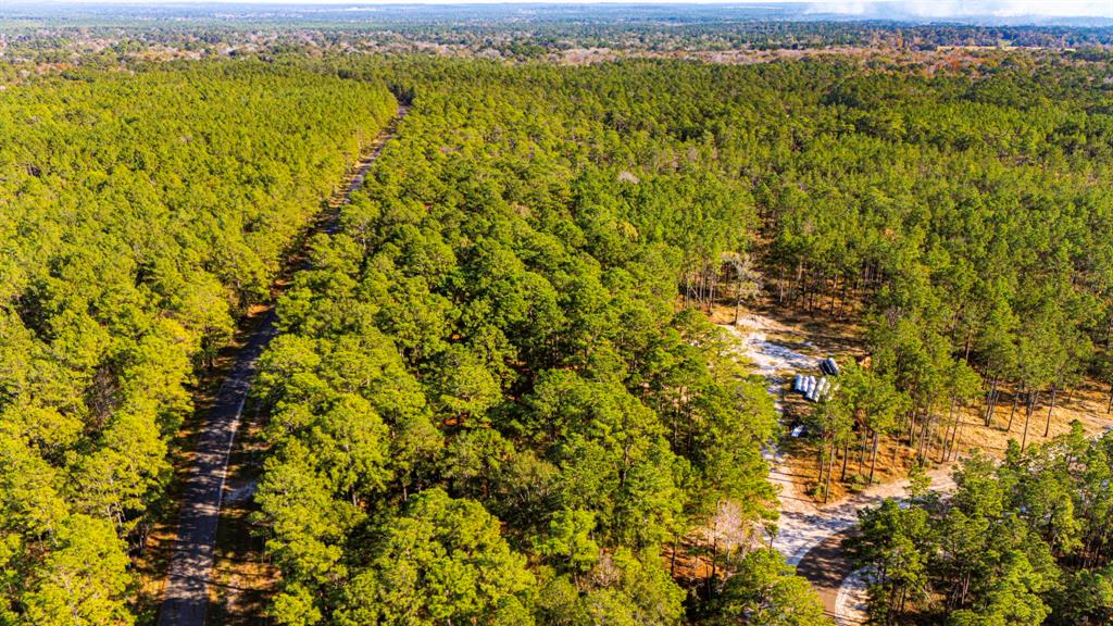 0313 King Ranch Road South Road, Onalaska, Texas image 14