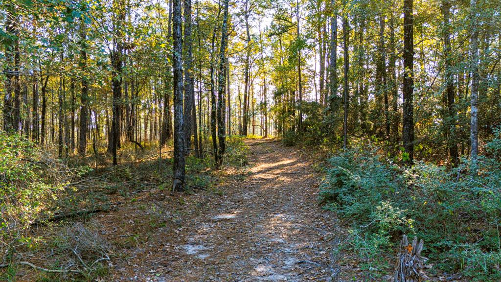 0313 King Ranch Road South Road, Onalaska, Texas image 20