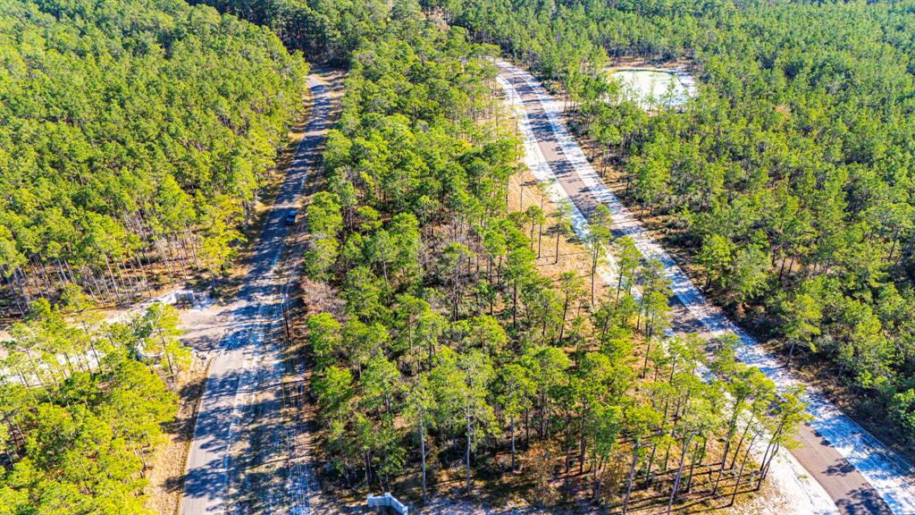 0313 King Ranch Road South Road, Onalaska, Texas image 8