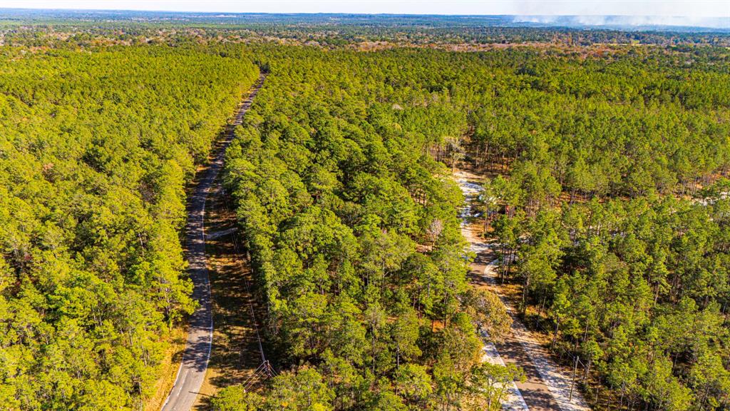 0313 King Ranch Road South Road, Onalaska, Texas image 9