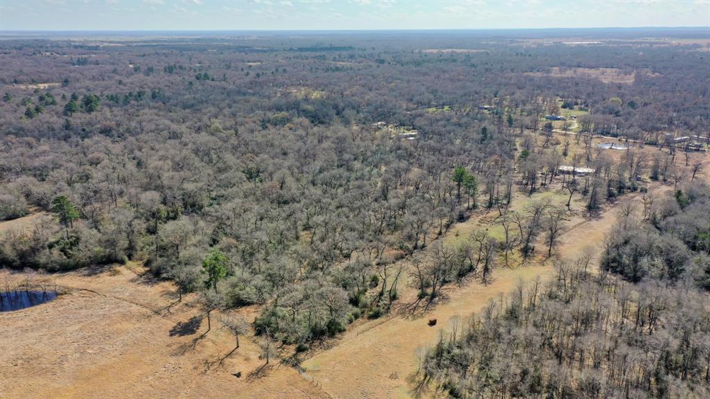 9157 Idaho Lane, Midway, Texas image 42