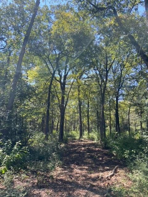 UNK Sawmill Road, Franklin, Texas image 9