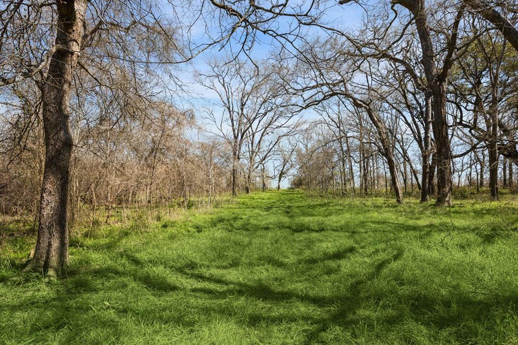 1014 River Plant Road, Eagle Lake, Texas image 32
