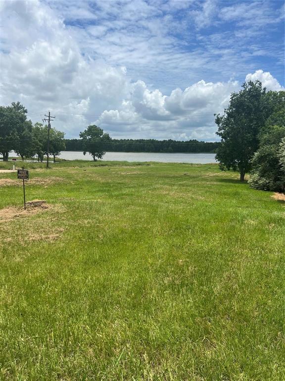 TBD Lake Front Drive, Trinity, Texas image 3