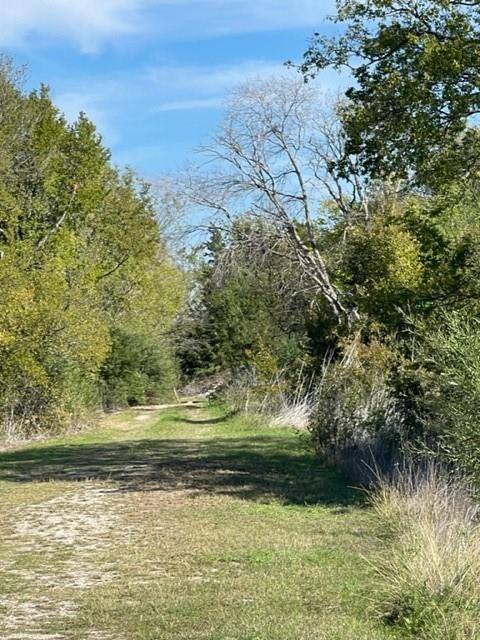 TBD Well Born Road, College Station, Texas image 6