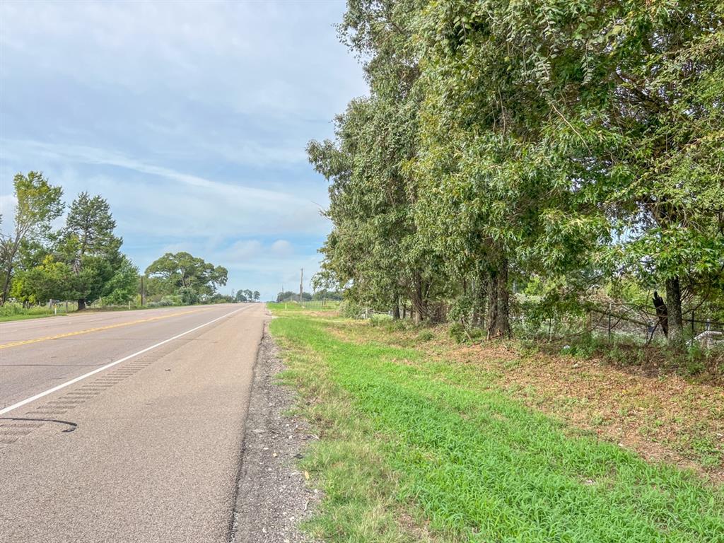 Hwy 79, Buffalo, Texas image 7