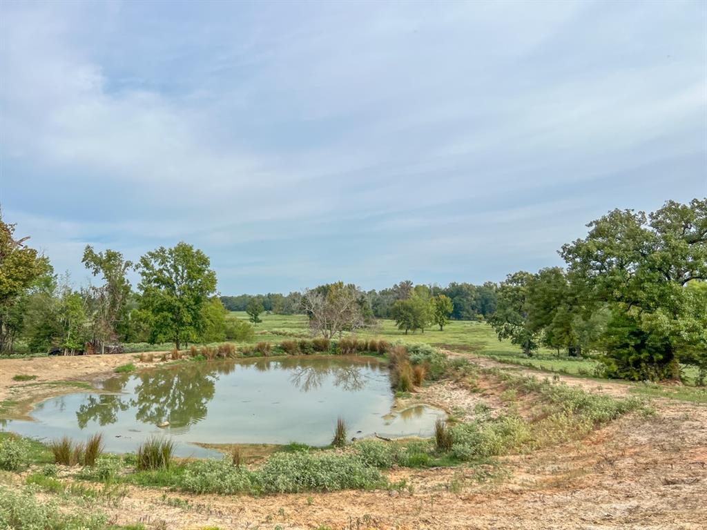 Hwy 79, Buffalo, Texas image 10