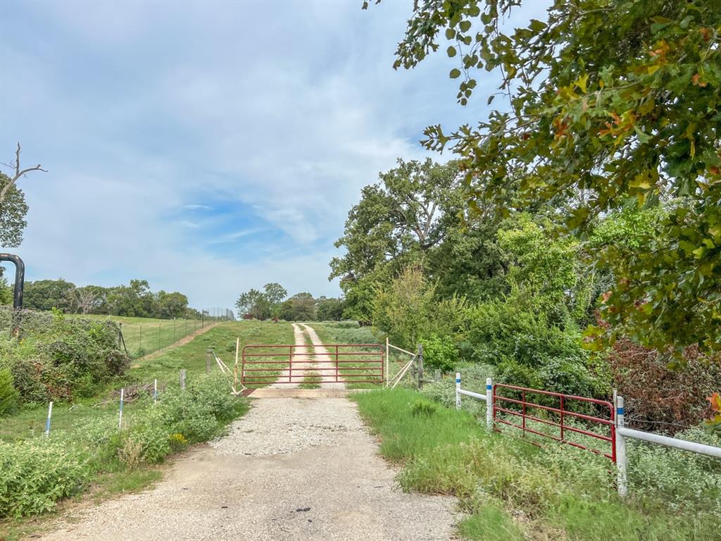 Hwy 79, Buffalo, Texas image 9