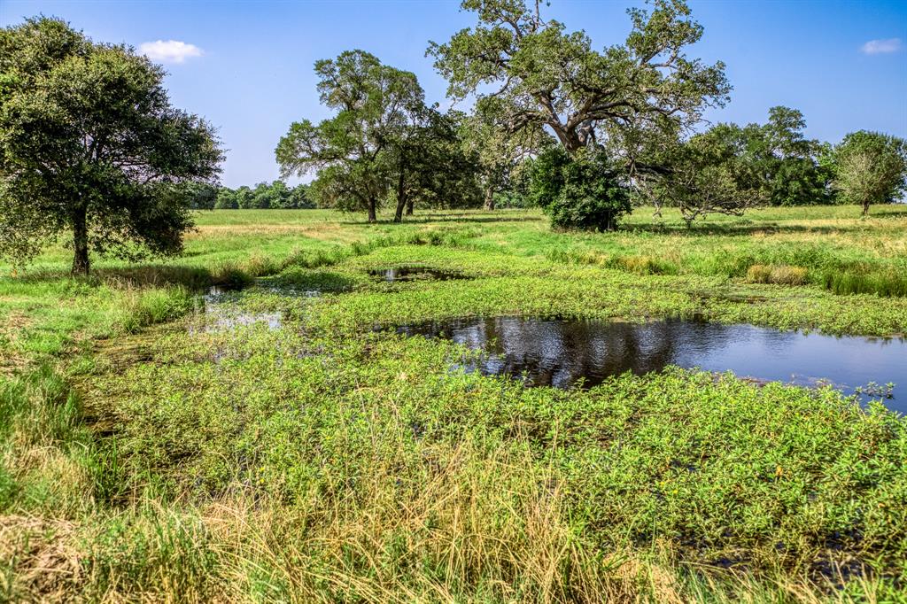 5655 Brazos Bow Way, Washington, Texas image 36